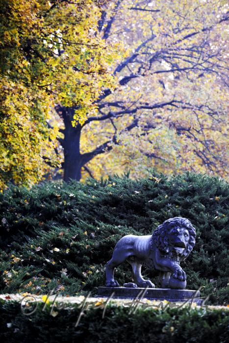 Skulptur eines Löwen und Schlosspark