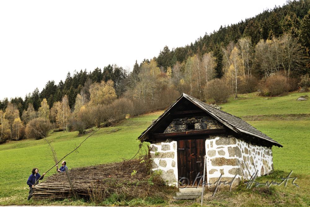 Bauern schlichten lange Holzstangen beim Brotbackhaus