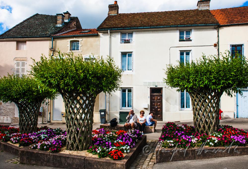 geflochtene Weiden am Hauptplatz