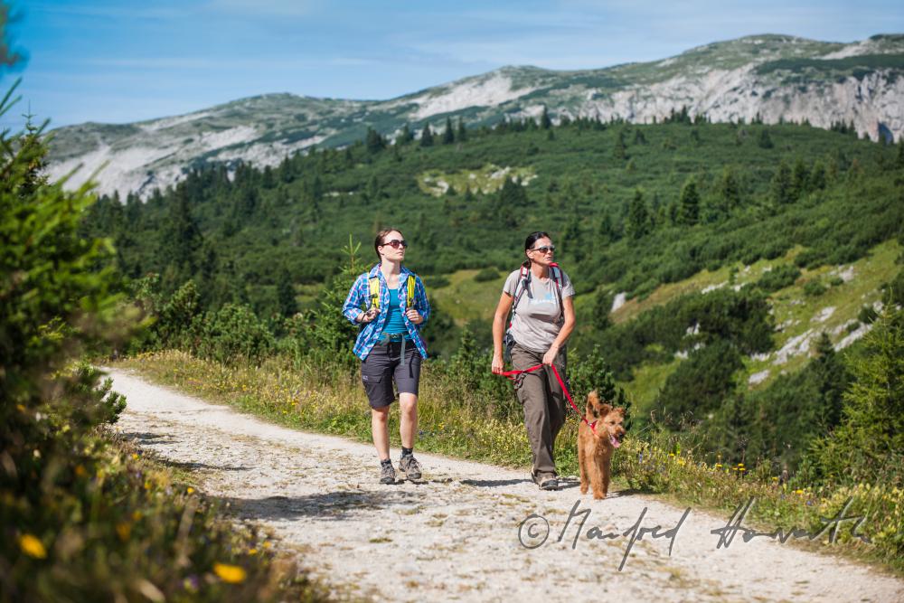 Wanderer mit Hund auf dem Höhenweg beim Erzherzog-Otto-Schutzhaus