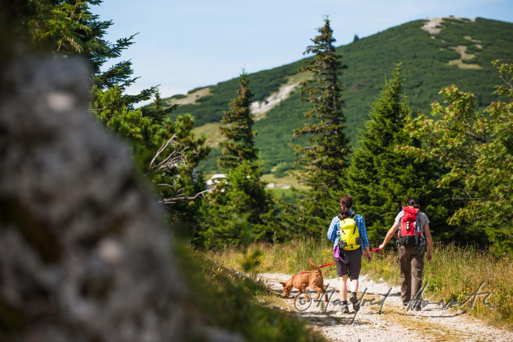 Wanderer mit Hund auf dem Höhenweg beim Erzherzog-Otto-Schutzhaus