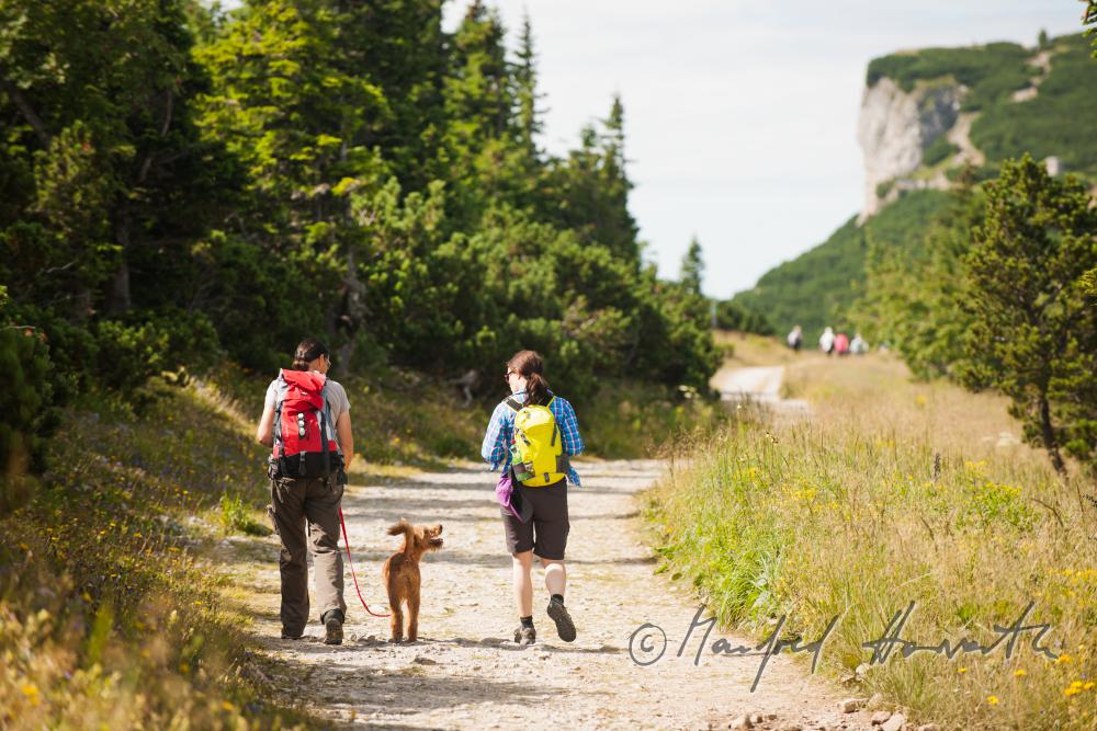 Wanderer mit Hund auf dem Höhenweg beim Erzherzog-Otto-Schutzhaus