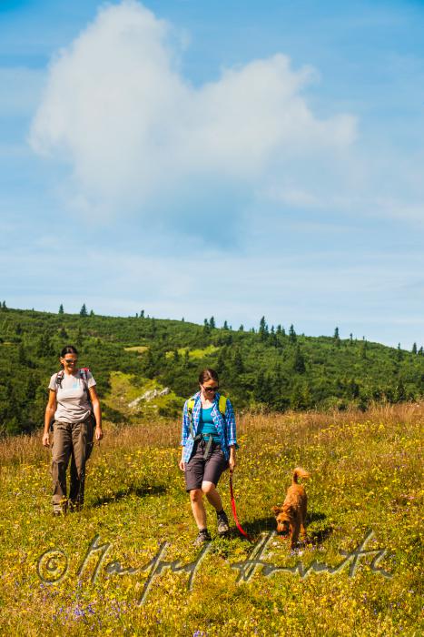 Wanderer mit Hund auf dem Höhenweg beim Erzherzog-Otto-Schutzhaus