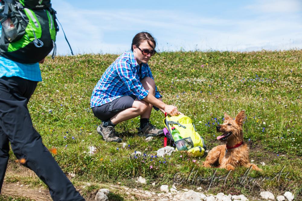 Wandererin mit Hund auf dem Höhenweg