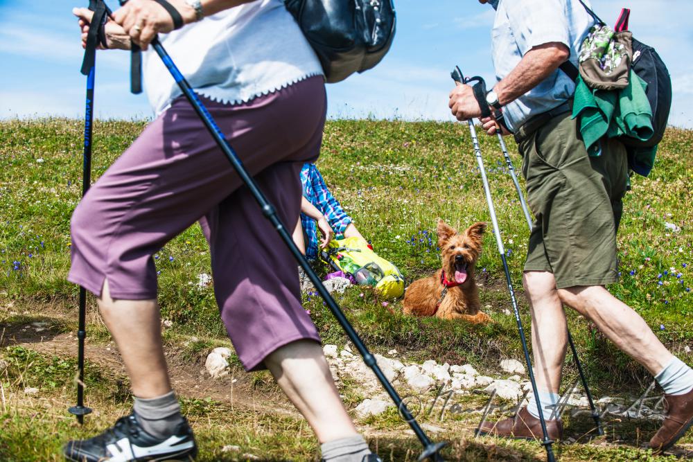 Wanderer mit Hund auf dem Höhenweg