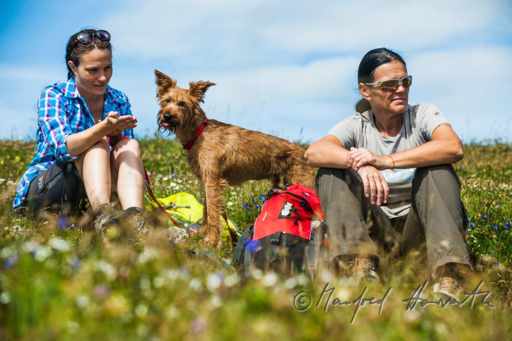 Wanderer mit Hund auf dem Höhenweg beim Erzherzog-Otto-Schutzhaus