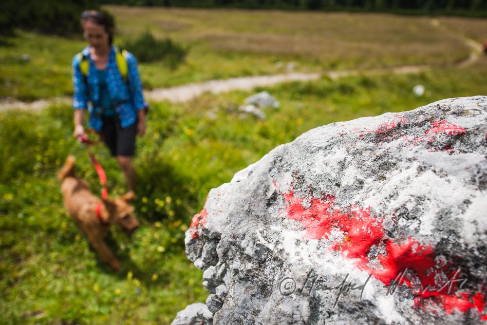 Wandererin mit Hund auf dem Höhenweg