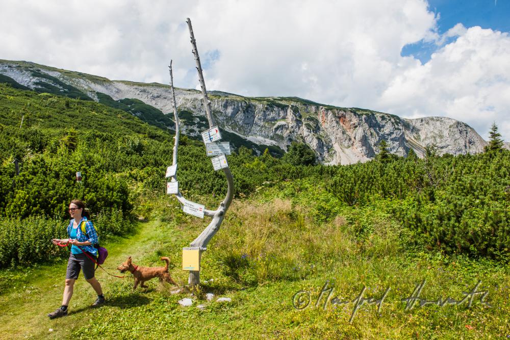 Wanderer mit ihrem Weggefährten beim Wegweiser der Seehütte