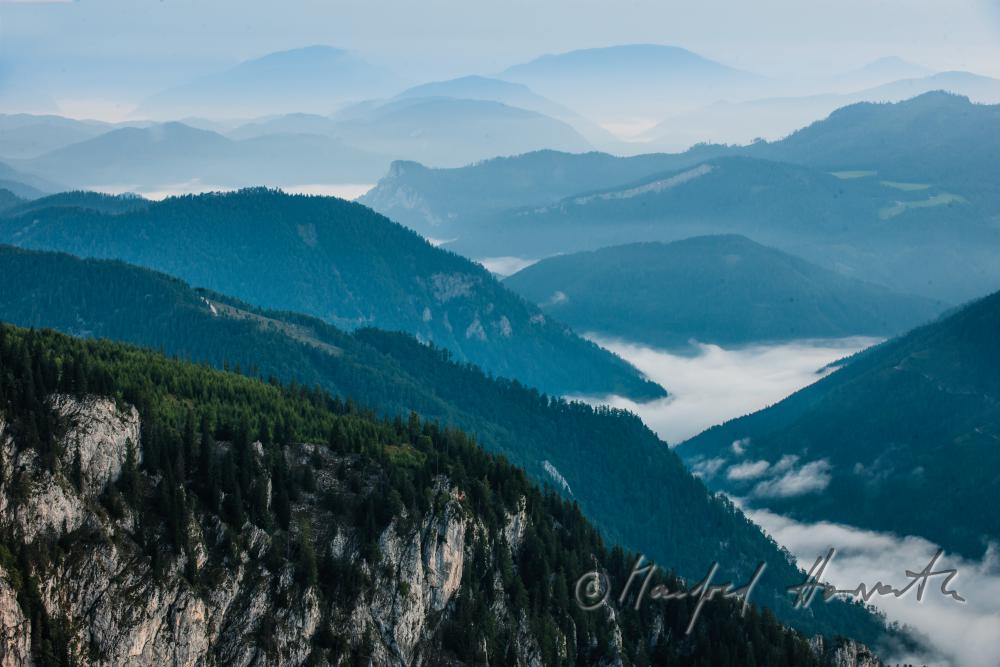 Blick vom 