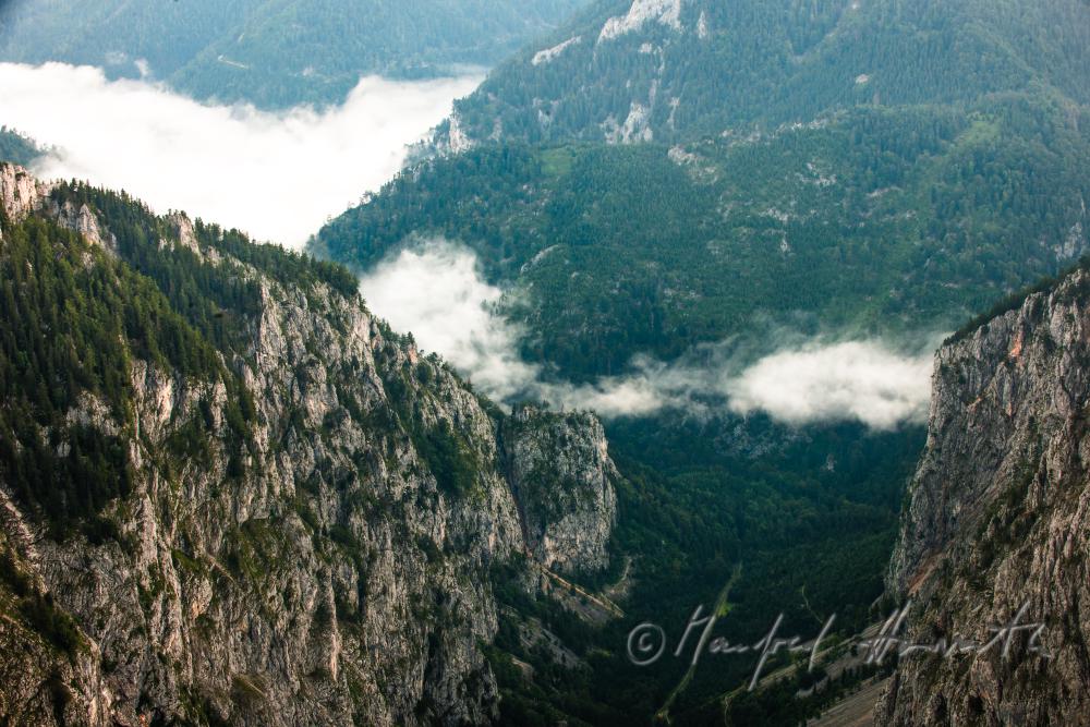 Blick vom 