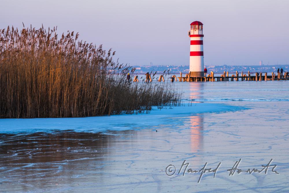 Schilf und Eis am Strand von Podersdorf