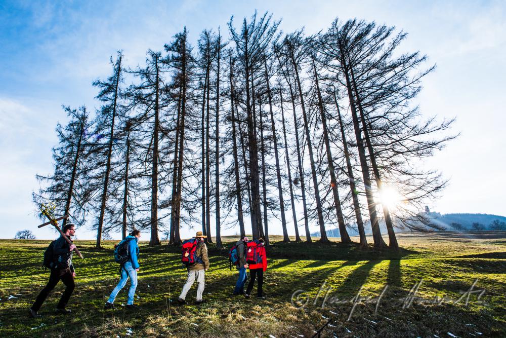 Wallfahrer überqueren einen Hang bei der Ruine Araburg