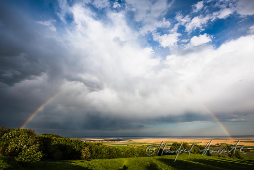 Blick über das Ährenfeld auf den Neusiedlersee