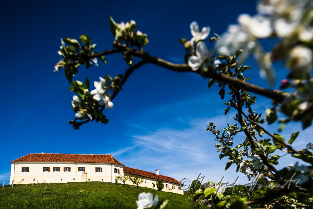 Schloss Tabor auf dem Hügel zum Dreiländereck (B/Slo/Stmk)