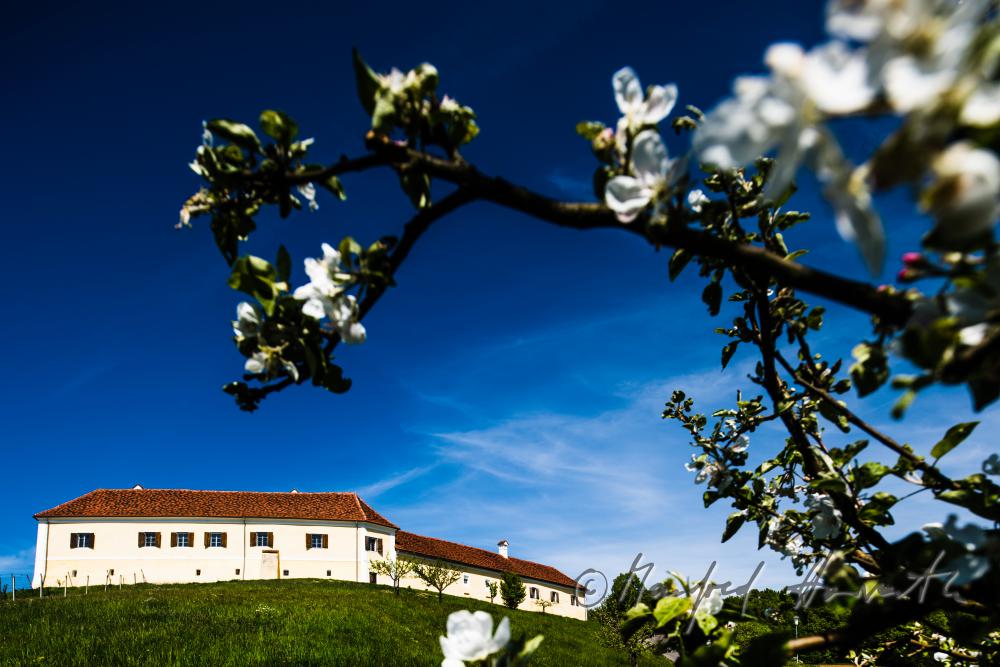 Schloss Tabor auf dem Hügel zum Dreiländereck (B/Slo/Stmk)
