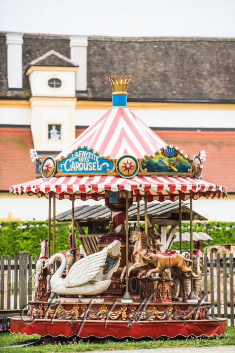 Ringelspiel im Garten bei der Feier zum 1.Mai