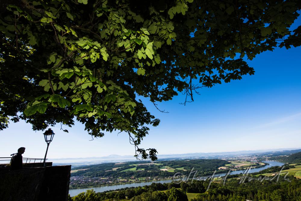 Blick in das Alpenvorland zum Grossen Ötscher