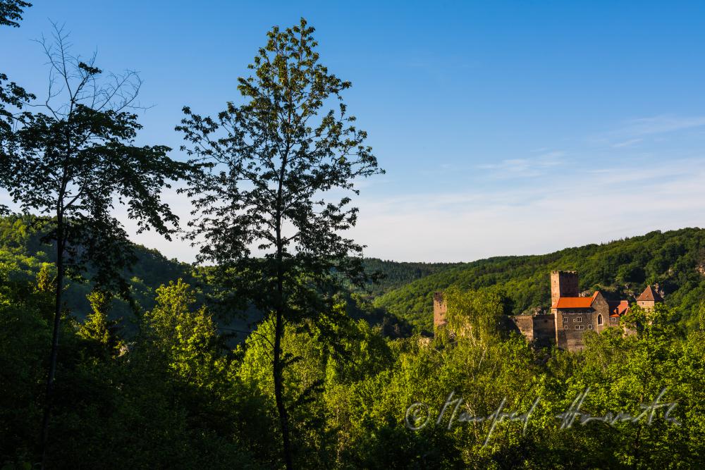 Burg Hardegg im Kessel des Thayatales