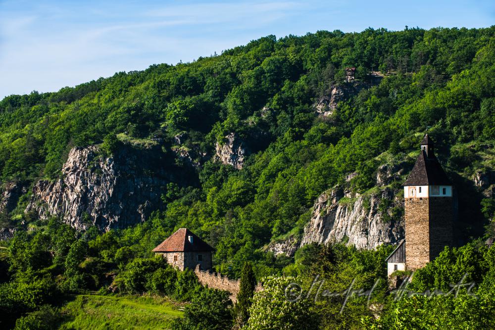 Burg Hardegg im Kessel des Thayatales