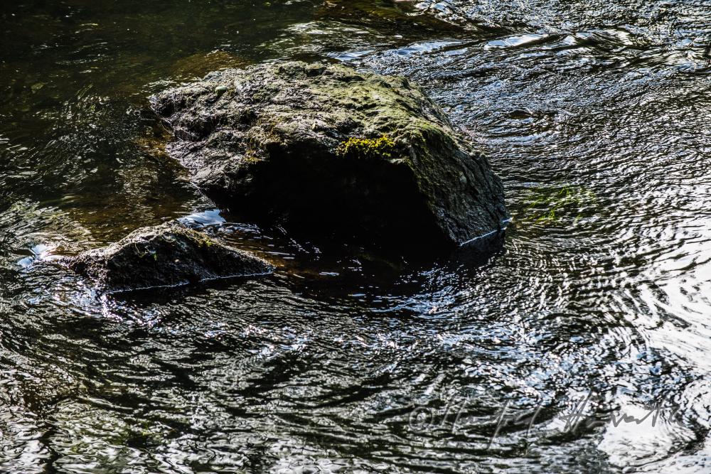 Granit-Felsen im Flußbett der Thaya