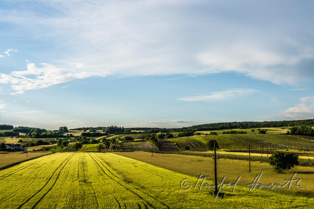 Blick vom Dorfzentrum zum Leithaberg