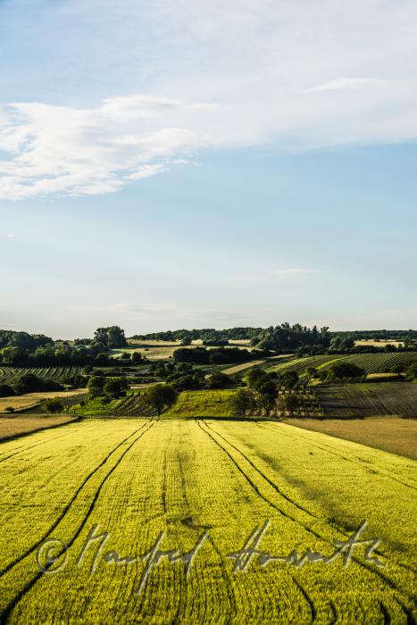 Blick vom Dorfzentrum zum Leithaberg