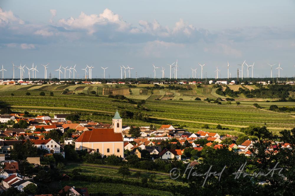 Blick vom Hackelsberg zur Parndorfer Platte