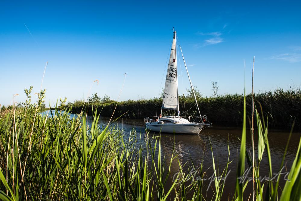 Segelboot im Schilfkanal in der Bucht bei der Seejungfrau