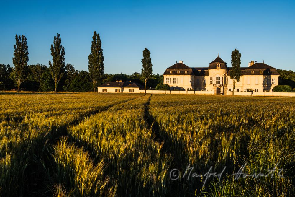 Marchfeld-Schloss Niederweiden und Gerstenfeld