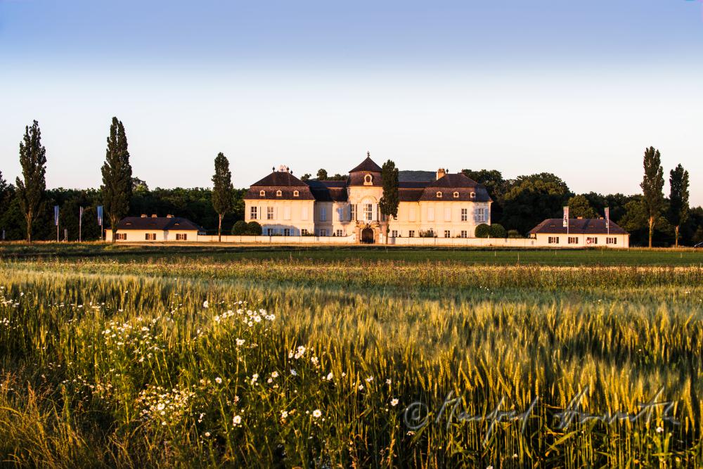 Marchfeld-Schloss Niederweiden und Gerstenfeld