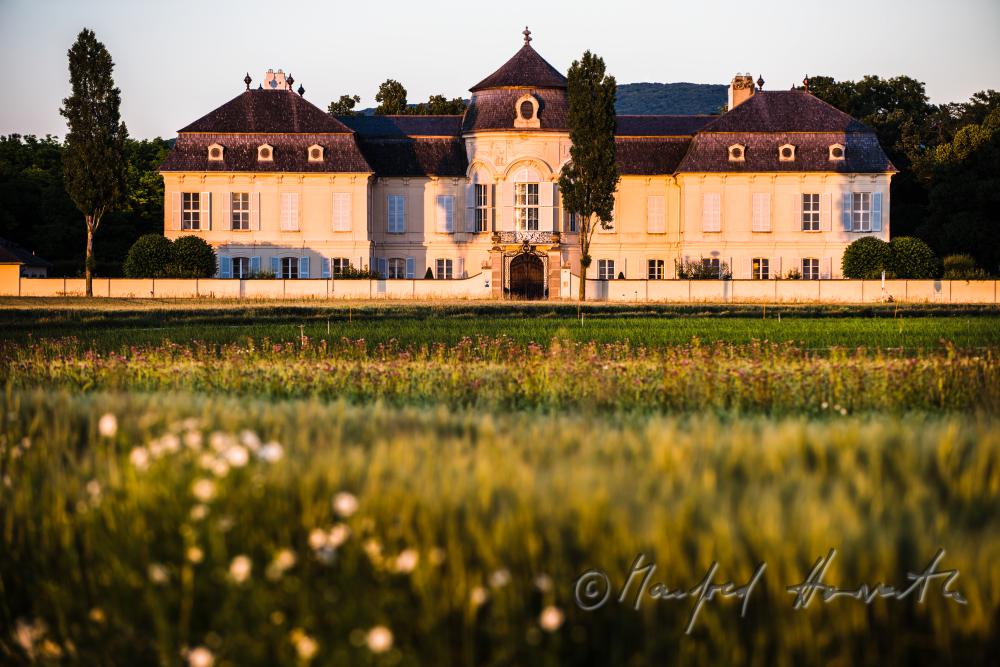 Marchfeld-Schloss Niederweiden und Gerstenfeld