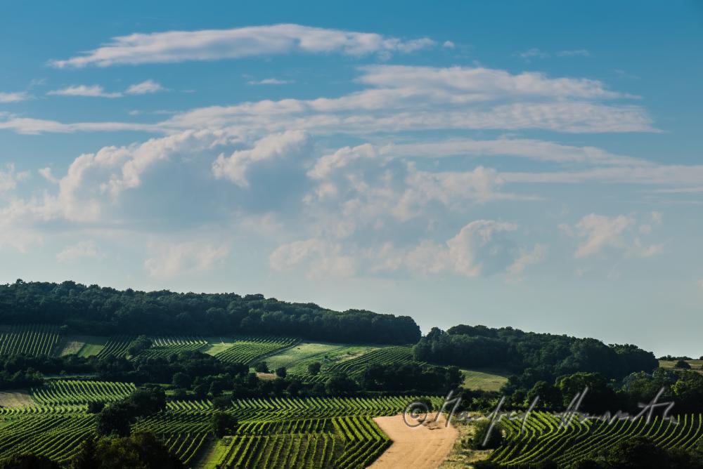 Blick vom Dorfzentrum zum Leithaberg