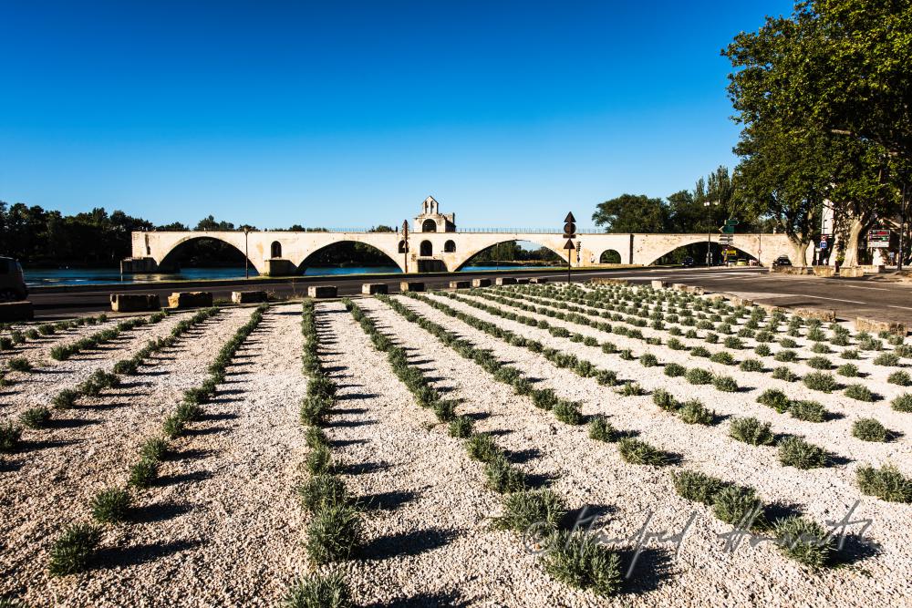 Brücke von Avignon: 