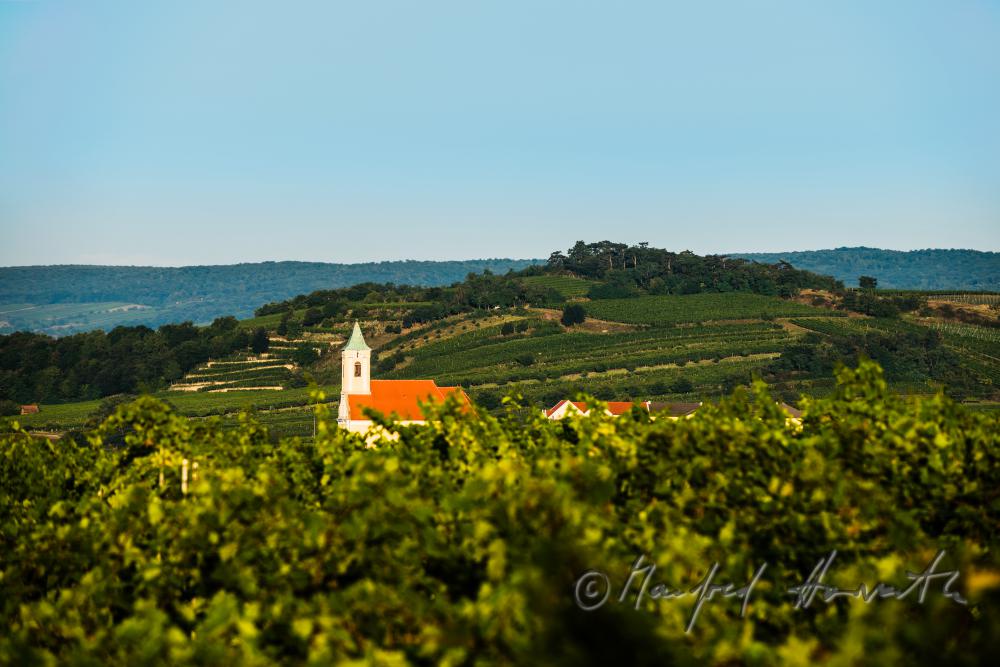 Blick von Neusiedl auf den Hackelsberg und das Leithagebirge