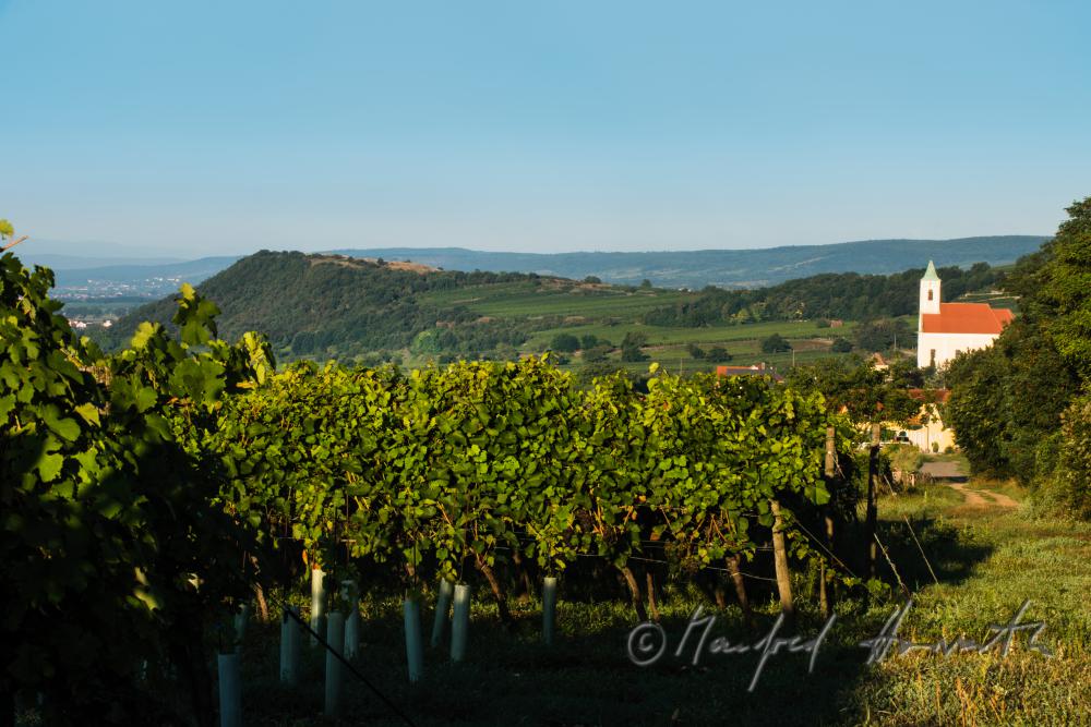 Blick von Neusiedl auf den Hackelsberg und das Leithagebirge