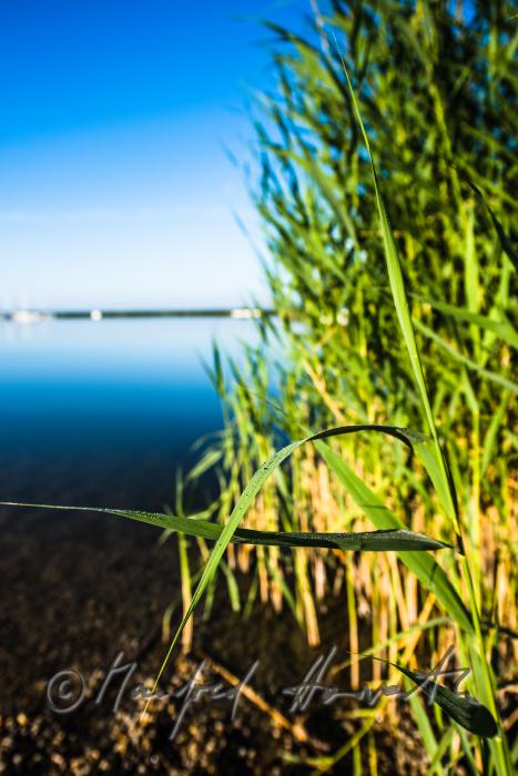Segelboot im Schilfkanal in der Bucht bei der Seejungfrau