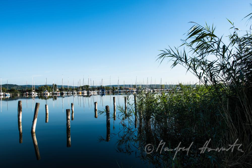Blick vom Hafen zum Leithagebirge
