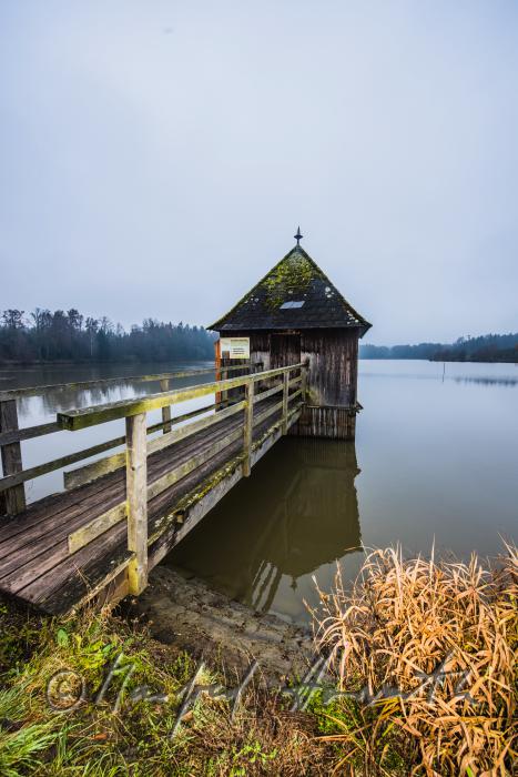 Karpfenzucht der Benediktiner (Schacherteich)