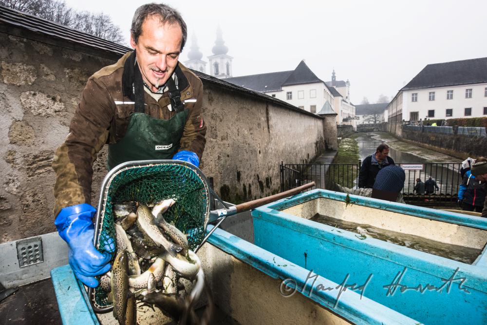 Fischer beim Forellenteich (Wassergraben) des Stiftes
