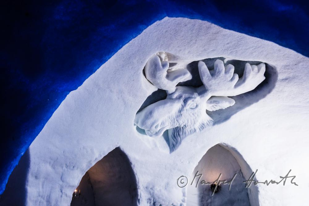 Elch aus Eis als Dekoration im Iglu-Hotel