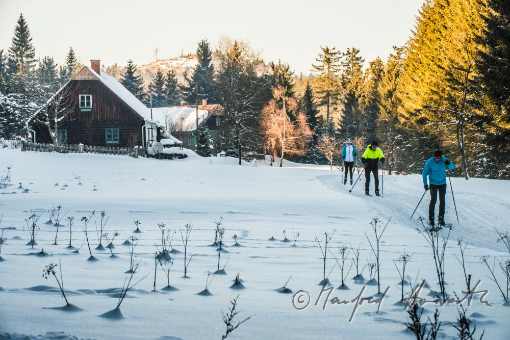 Langläufer beim Hanslteich auf der Loipe durch den Wald