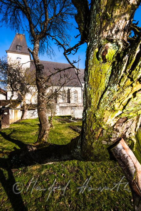 Wallfahrtskirche Maria Laach