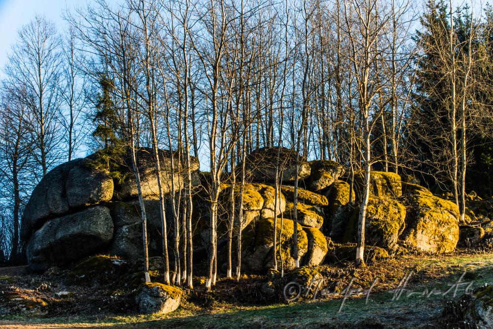 Granit-Findlinge am Waldrand bei einem Feld