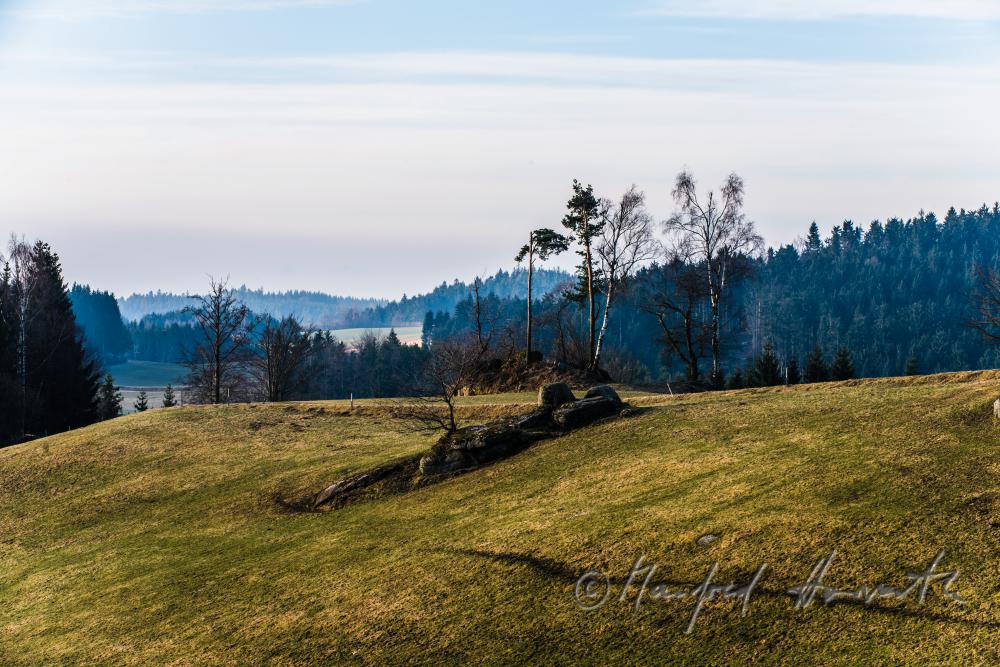Granit-Findlinge am Waldrand bei einem Feld