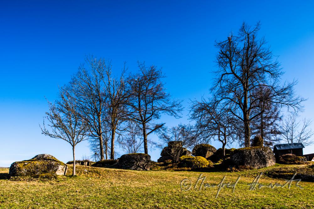 Granit-Findlinge in einer Wiese am Waldrand