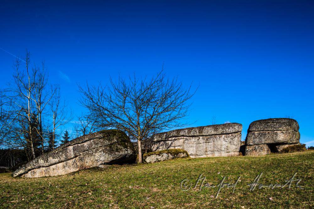 Granit-Findlinge in einer Wiese am Waldrand