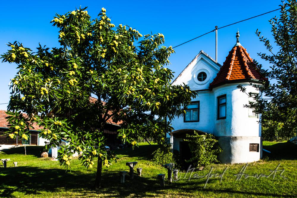 typischer burgenländischer Weinkeller in den Weinbergen