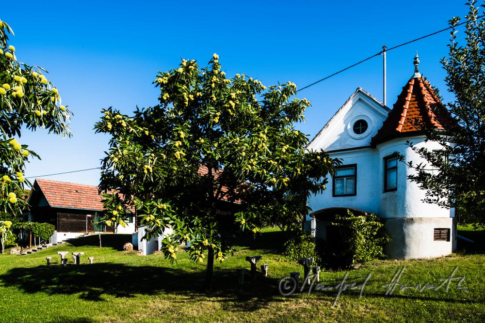 typischer burgenländischer Weinkeller in den Weinbergen