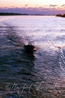 e1r010228