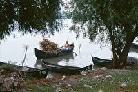 e1r010355